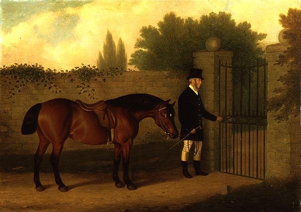 Gentleman vedoucí Welsh Cob U Zahradní Brány od Edward Tolley