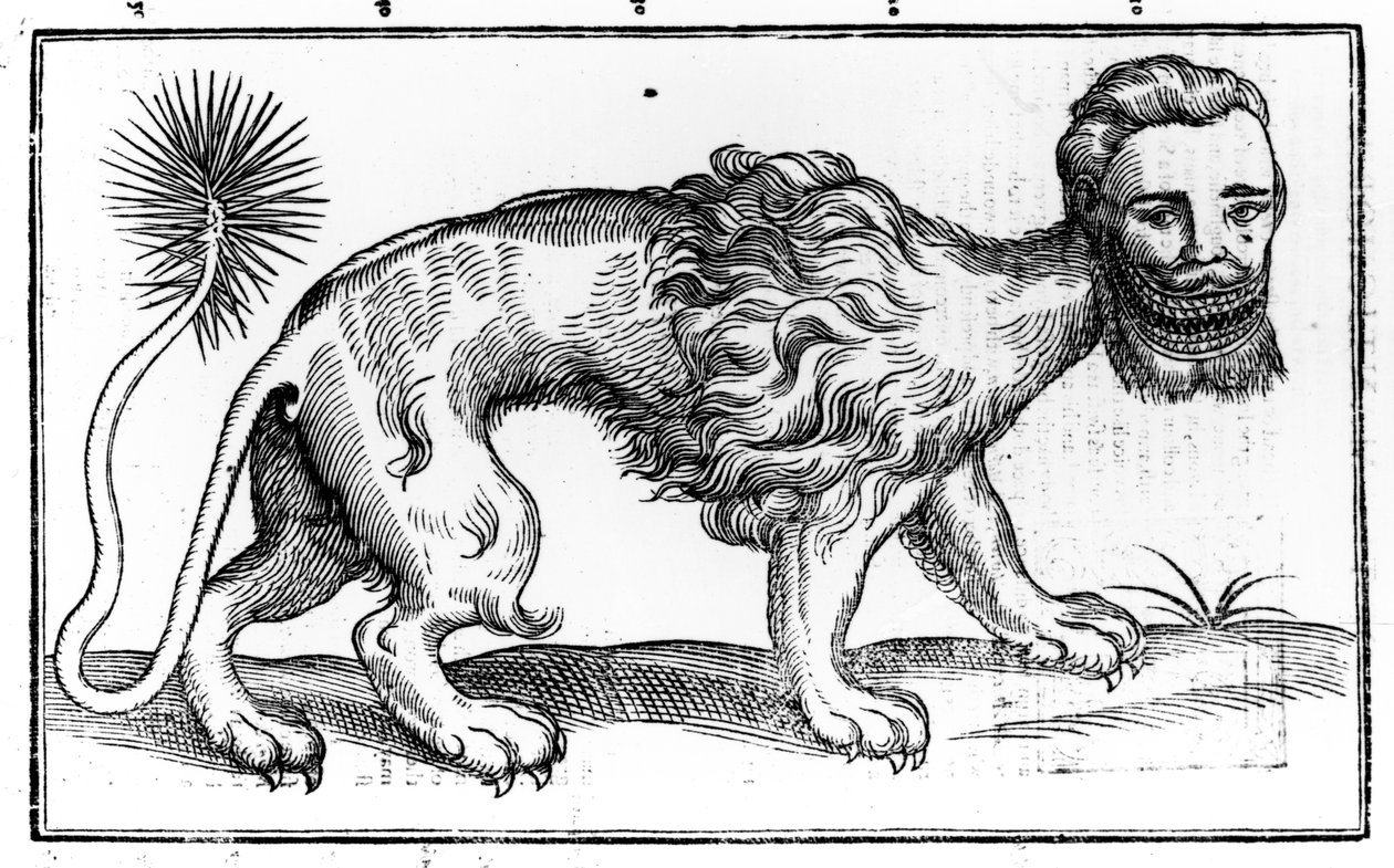 Manticore z 