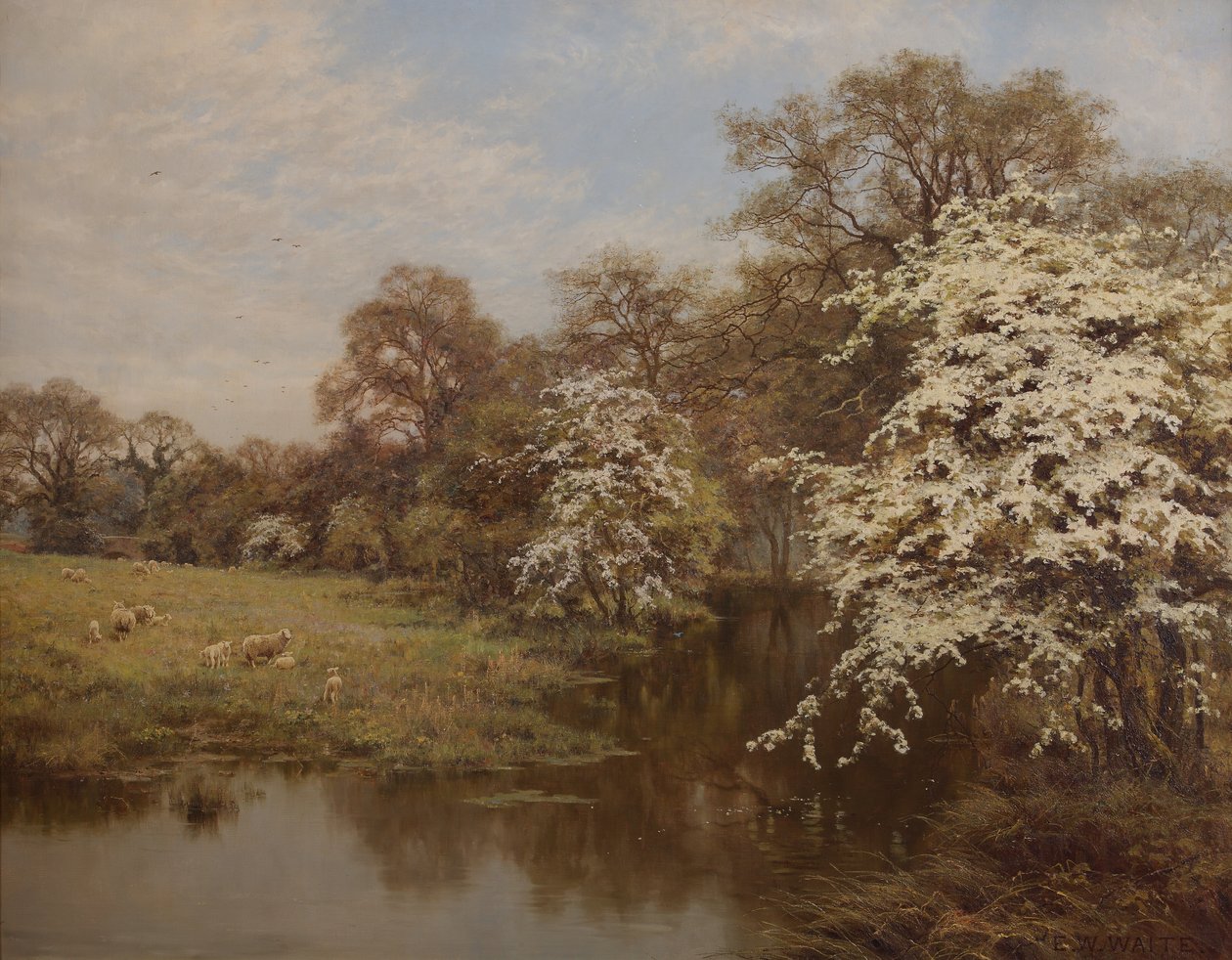 Hlohový květ od Edward Wilkins Waite