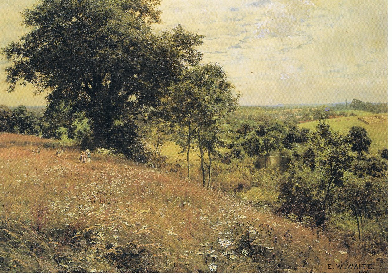 Na louce od Edward Wilkins Waite