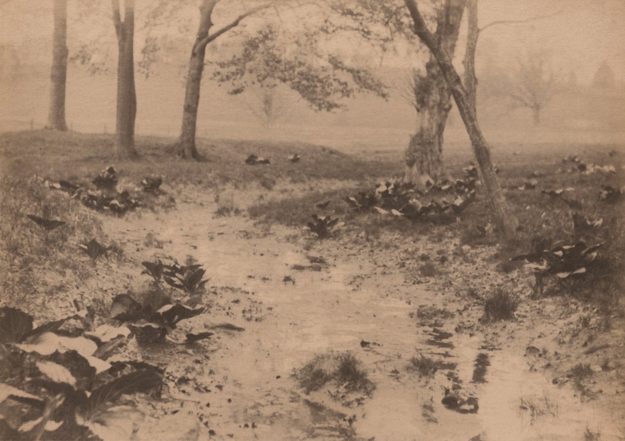 Jarní krajina, 90. léta 19. století (foto) od Edward Willis Redfield