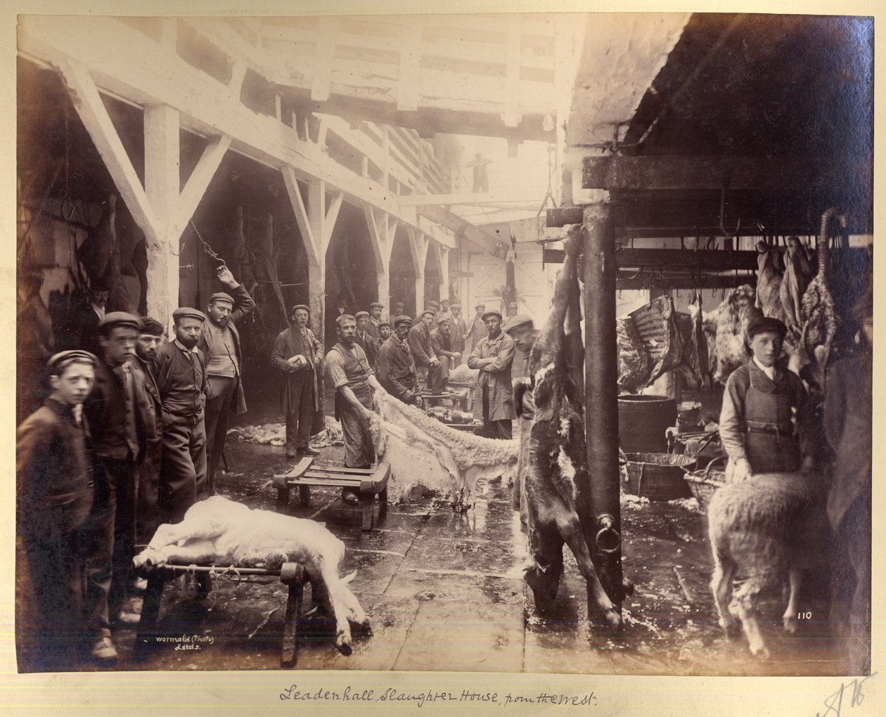 Leadenhall Slaughter House, ze západu od Edward Wormald