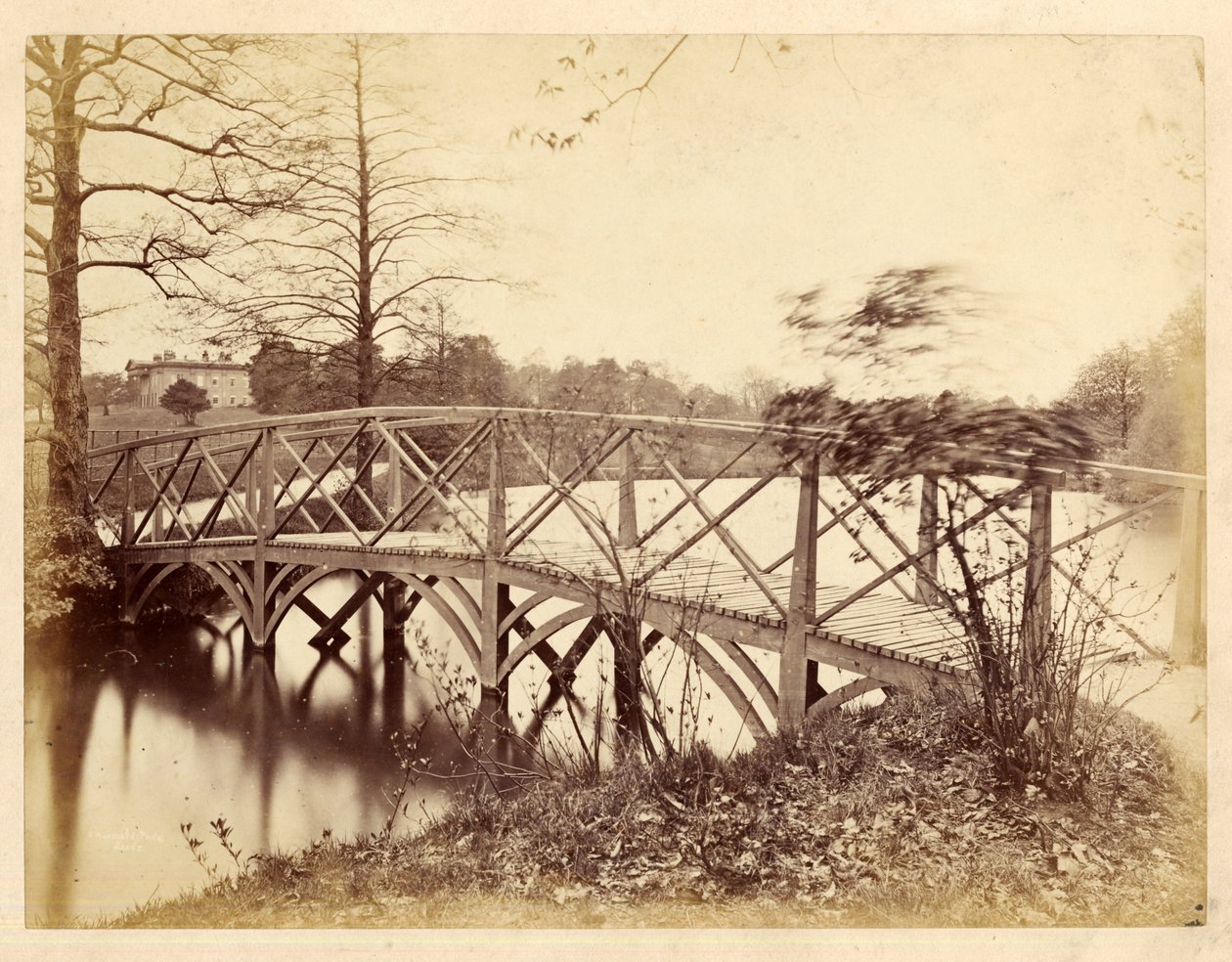 Roundhay Park (černobílá fotografie) od Edward Wormald