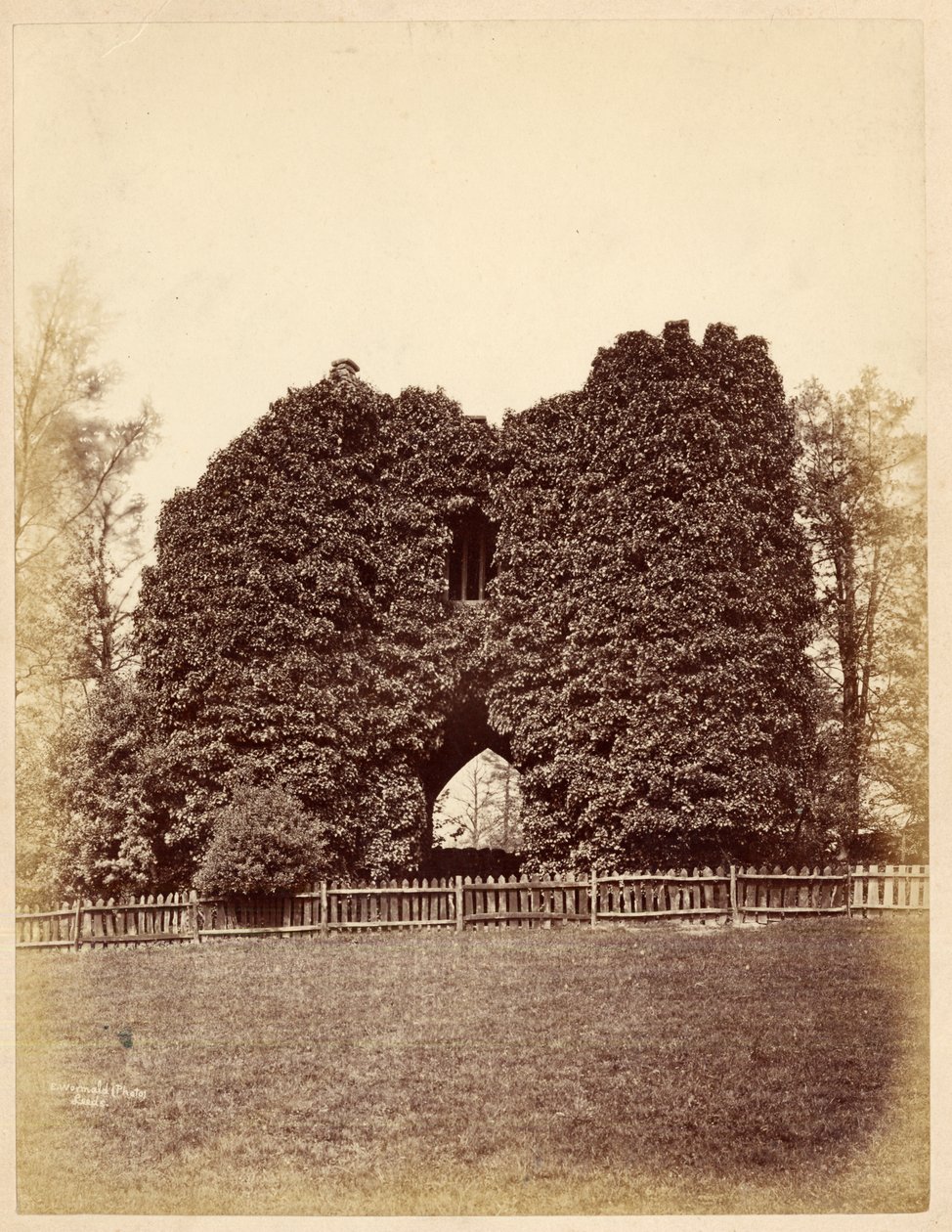 Pohled na bláznovství v Roundhay Park (tisk alba) od Edward Wormald