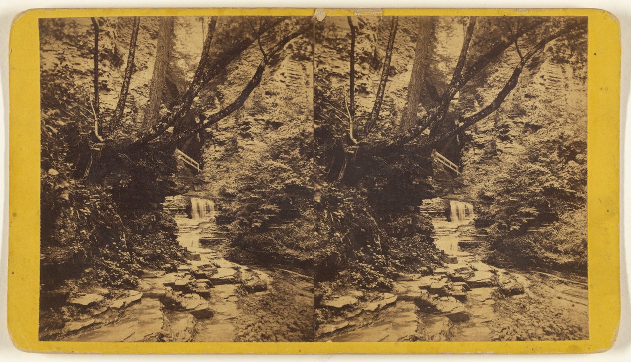 Studie umělců, Glen Alpha. Sekce č. 1. od Edward and Henry T. Anthony and Co.