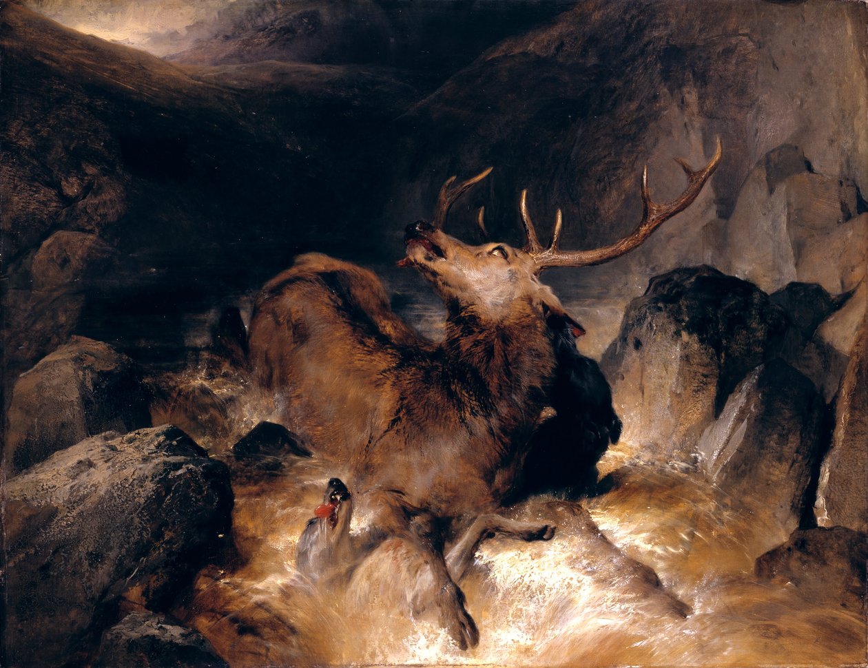 Jelen a jeleni v horské bystře od Edwin Landseer