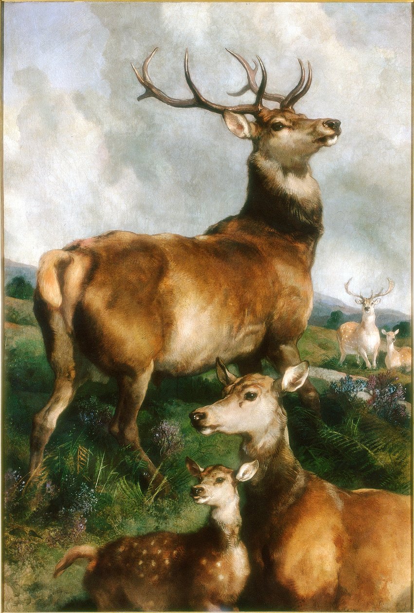 Deer of Chillingham Park, Northumberland, kolem roku 1867 od Edwin Landseer