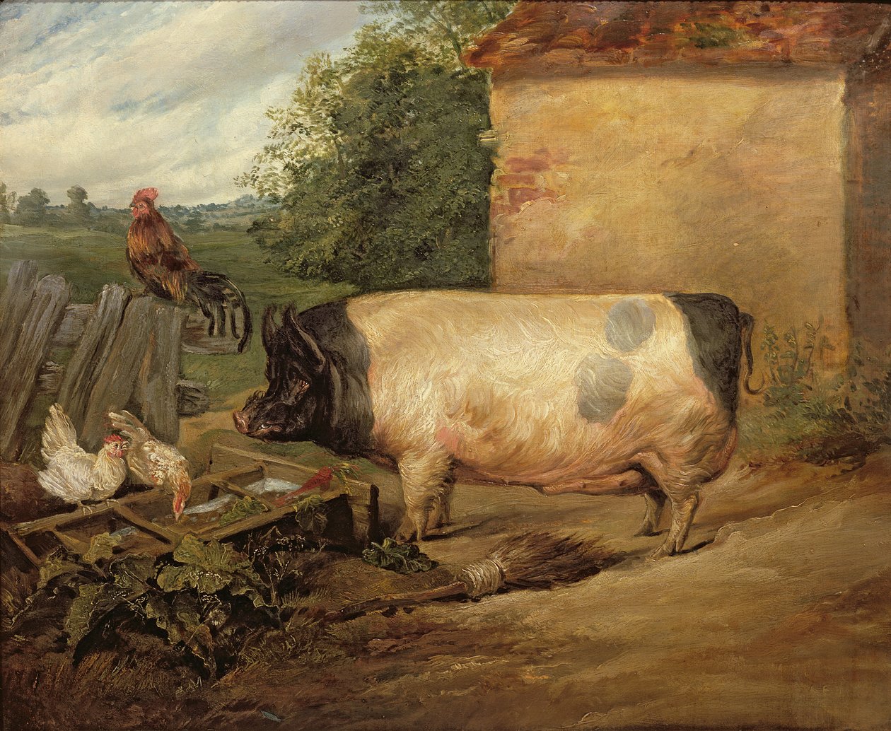 Portrét vzácného prasete, majetek panoše Westona z Essexu, 1810 od Edwin Landseer