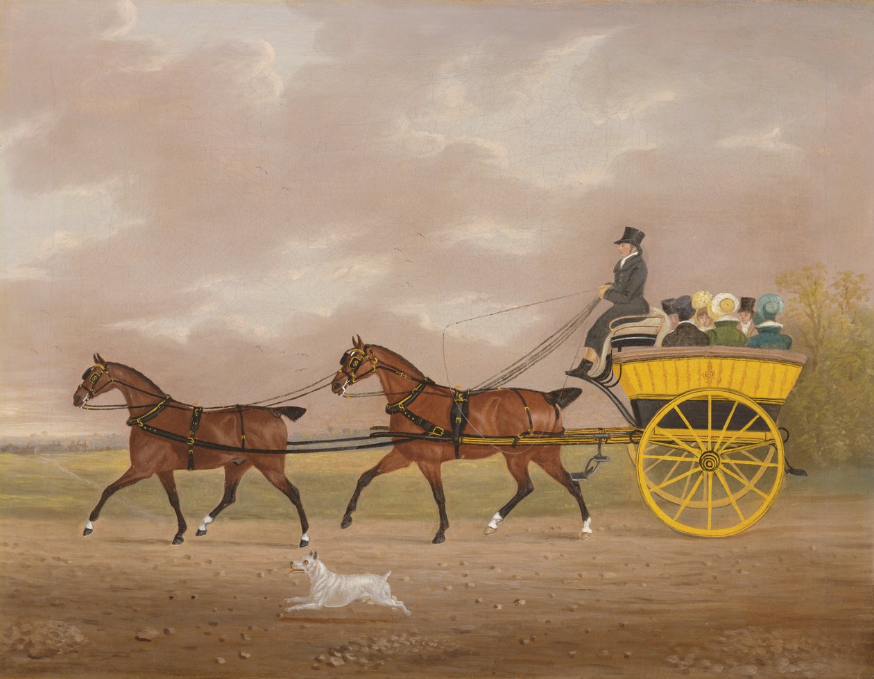 Gentleman jedoucí Tandem do Jaunting Car od Edwin W. Cooper