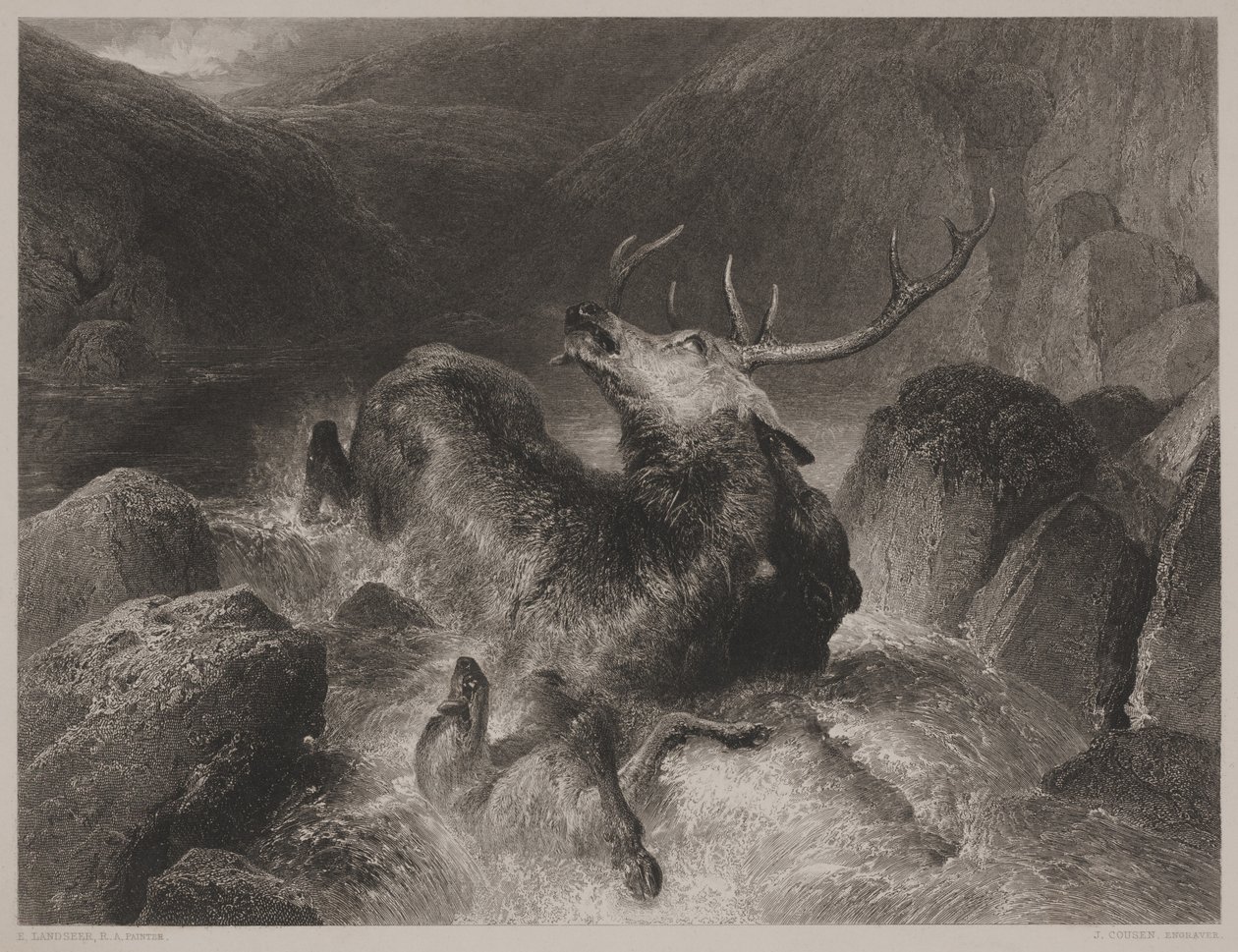 Smrt jelena, vyryl John Cousen (1804-80) od Edwin (after) Landseer