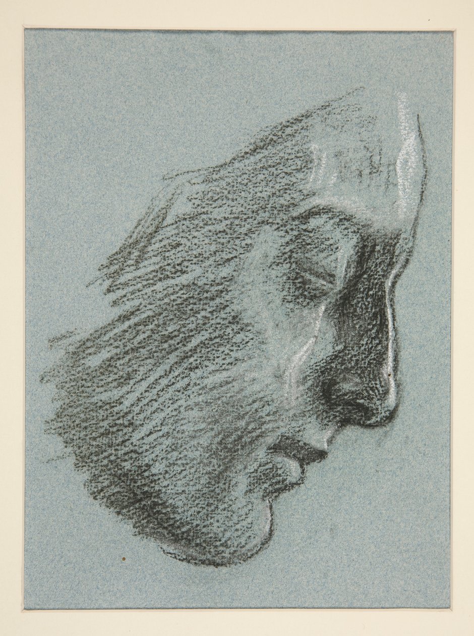 Profil mladé ženy od Edwin Austin Abbey