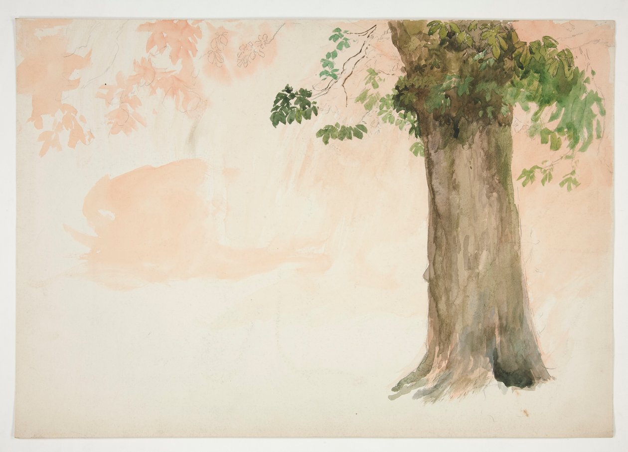Studie kmene stromu od Edwin Austin Abbey