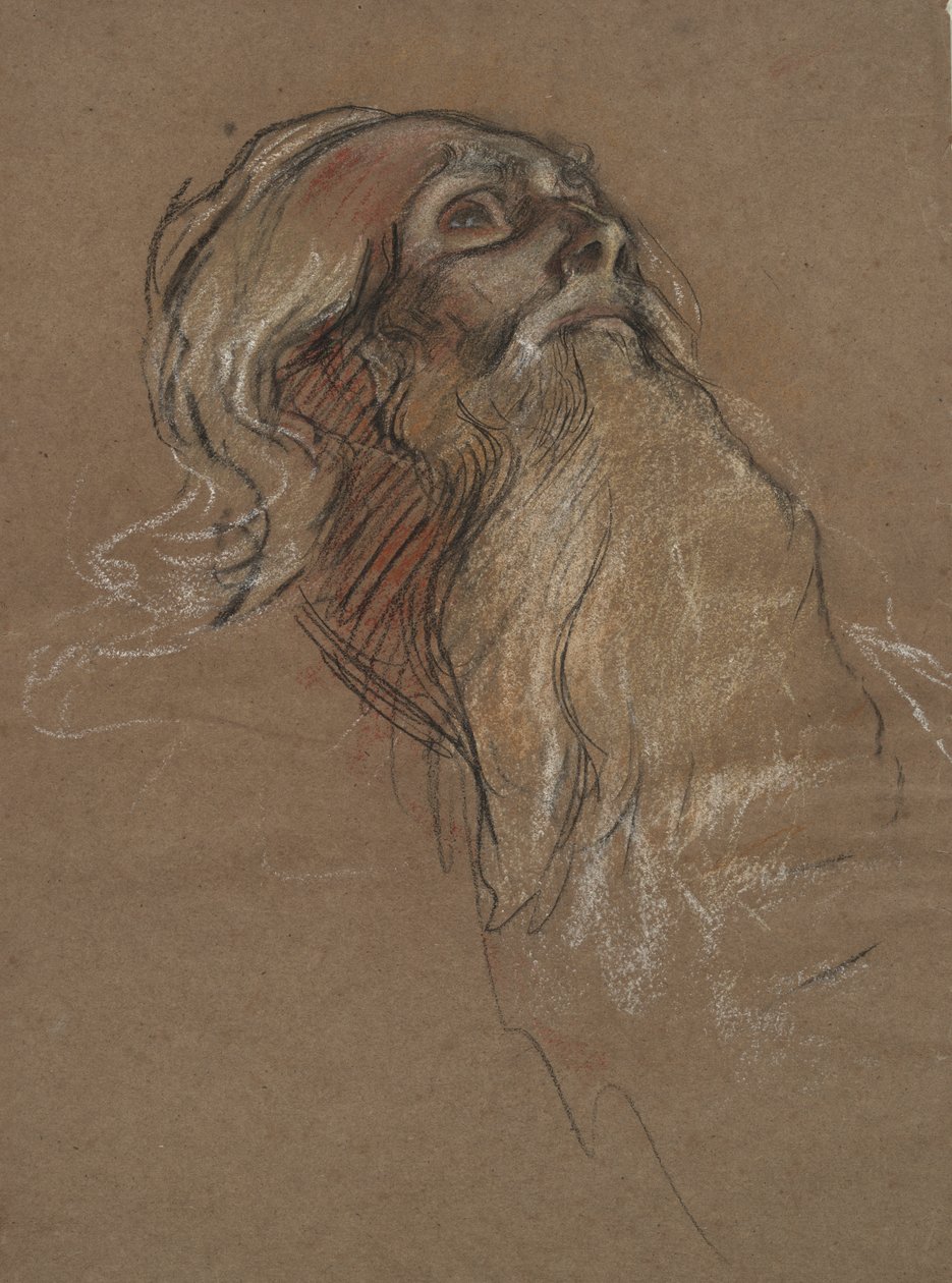 Studie hlavy krále Amfortase, pro od Edwin Austin Abbey