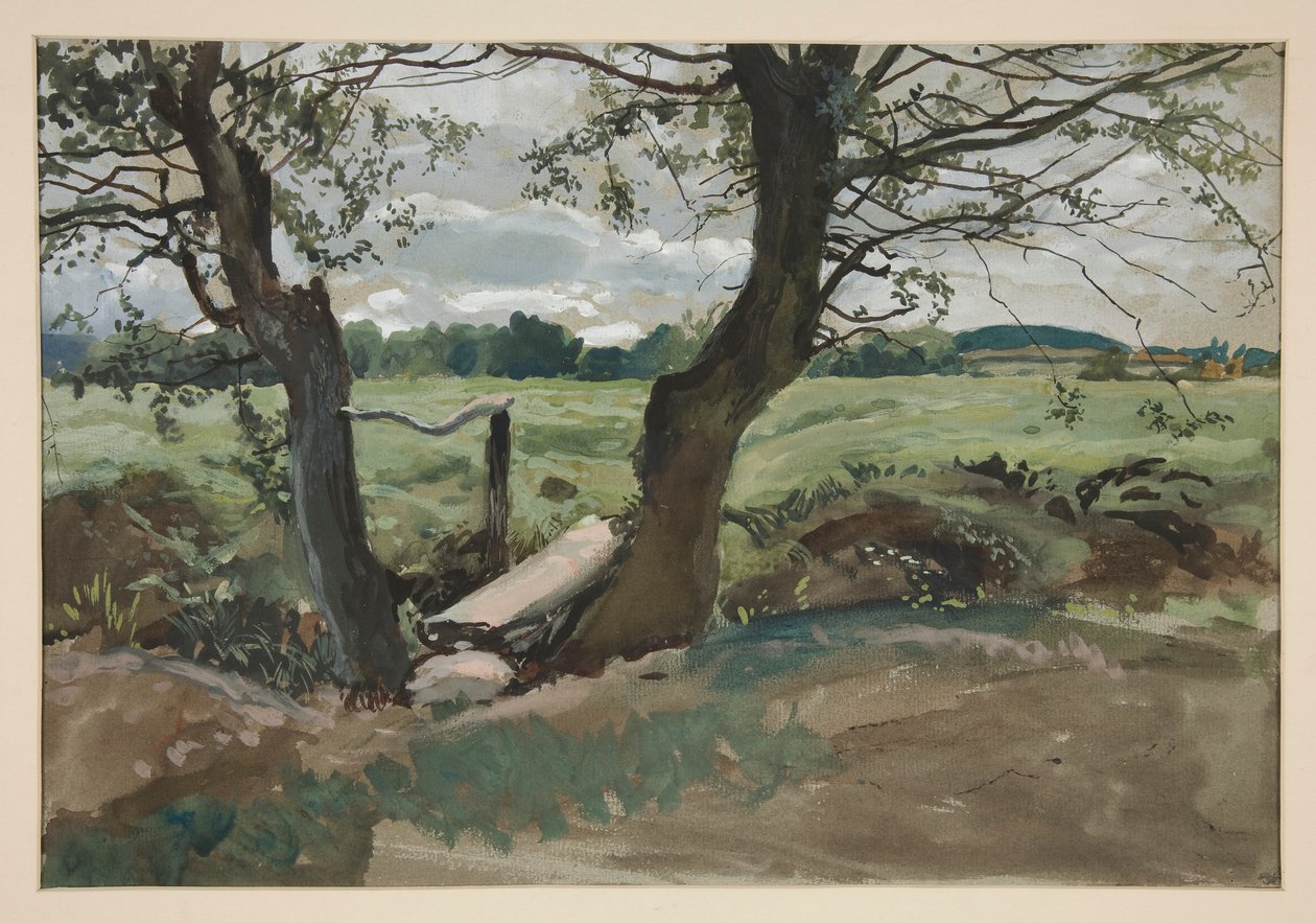 Studie dvou stromů a pole od Edwin Austin Abbey