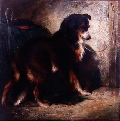 Ovčácká kolie od Edwin Douglas
