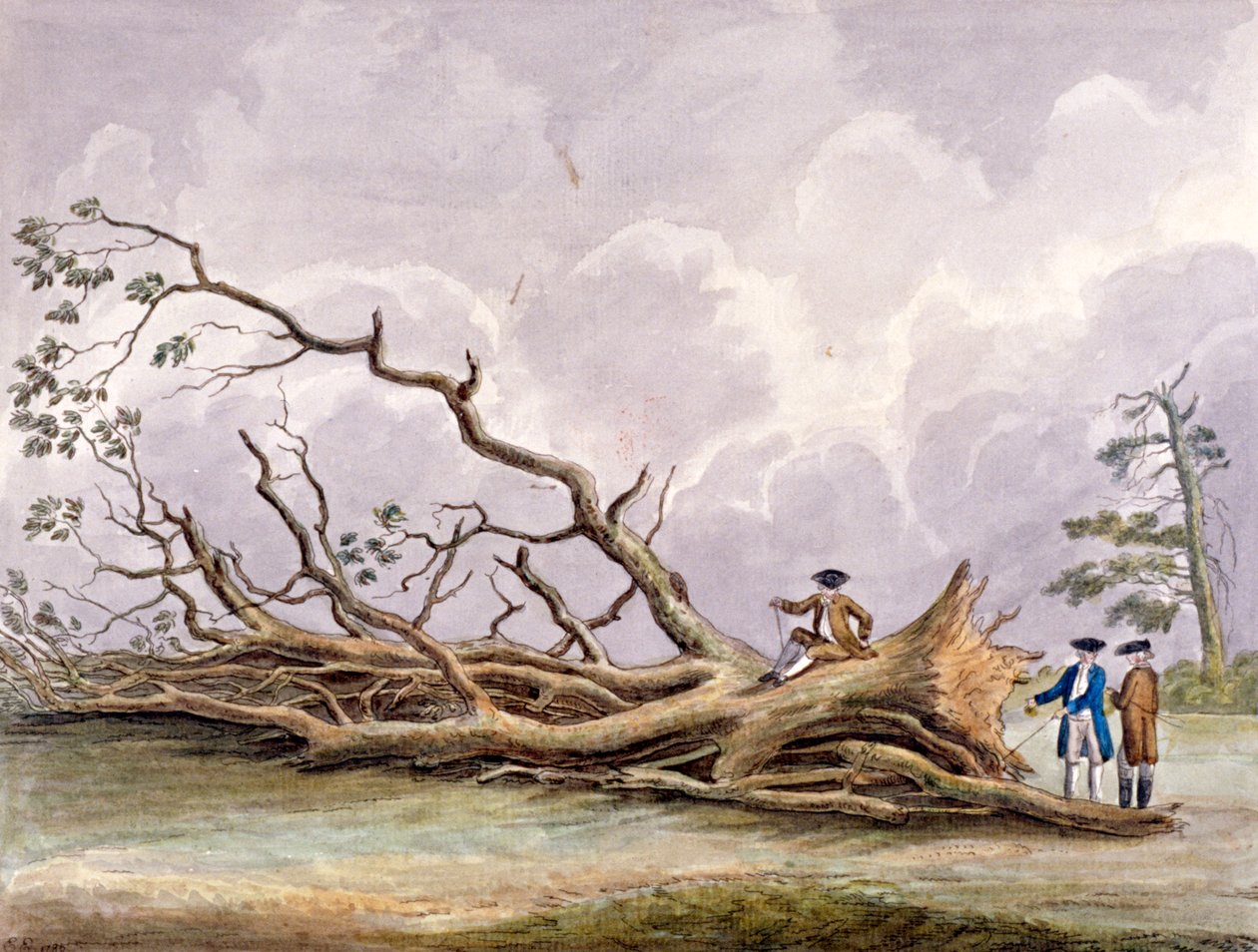 Stromy poškozené bouří z 15. října, Roehampton, Londýn, 1780 od Edwin Edwards