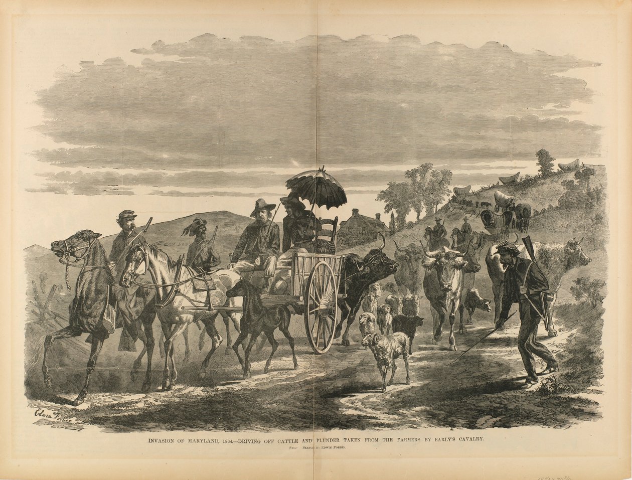Invaze do Marylandu v roce 1864 - odvádění dobytka a kořisti farmářům Earlyho kavalerií, z knihy "Voják v naší občanské válce". od Edwin Forbes