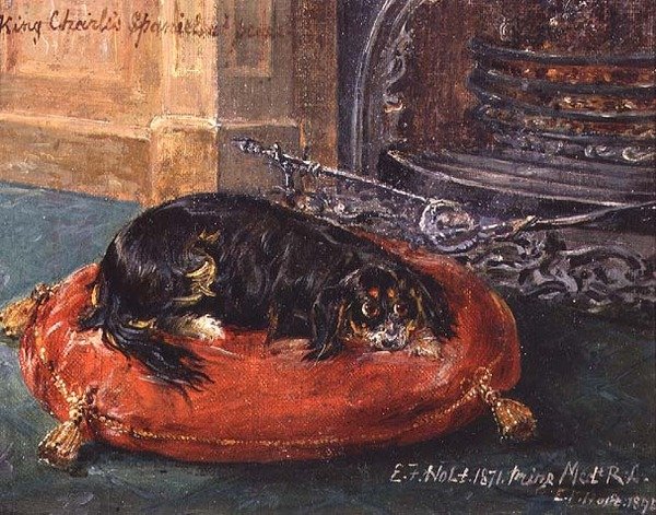 King Charles španěl v klidu od Edwin Frederick Holt