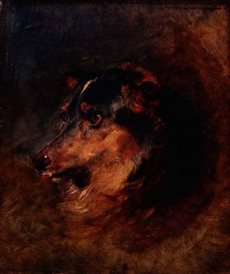 Studie hlavy psa kolie od Edwin Landseer