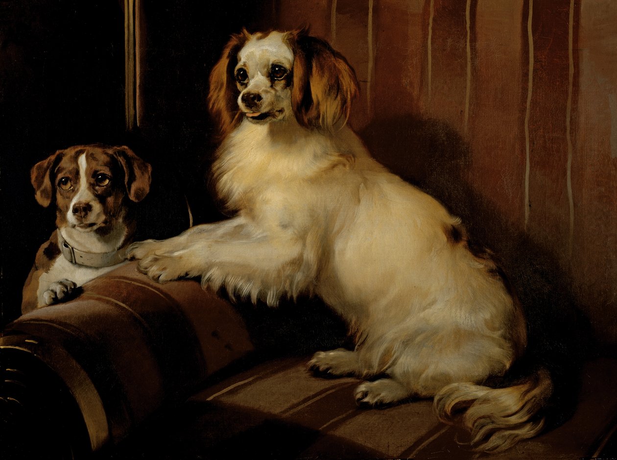Bon(e)y a Var, kolem roku 1843 (olej na plátně) od Edwin Landseer