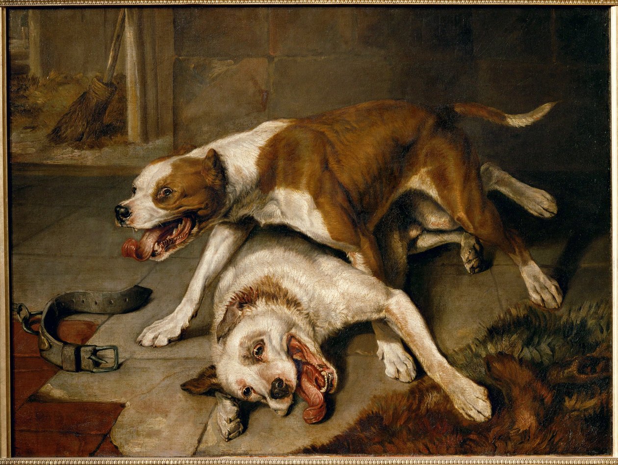 Chiens se battant, reprenant leur souffle - bojoví psi se nadechují... od Edwin Landseer