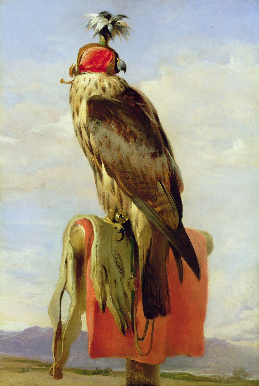 Sokol s kapucí od Edwin Landseer