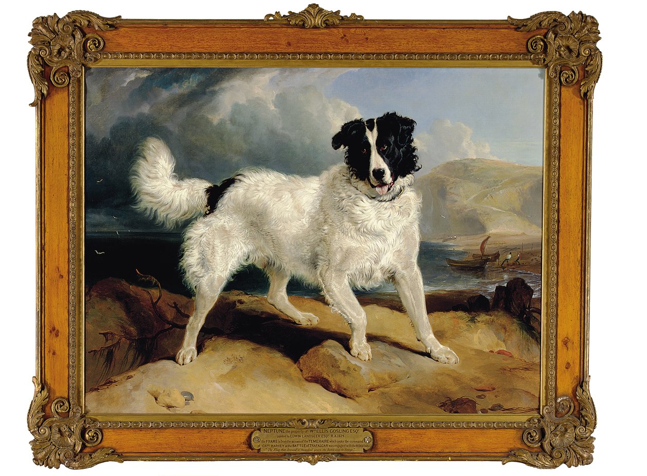 Neptun, majetek Williama Ellise Goslinga, Esq., 1824 od Edwin Landseer