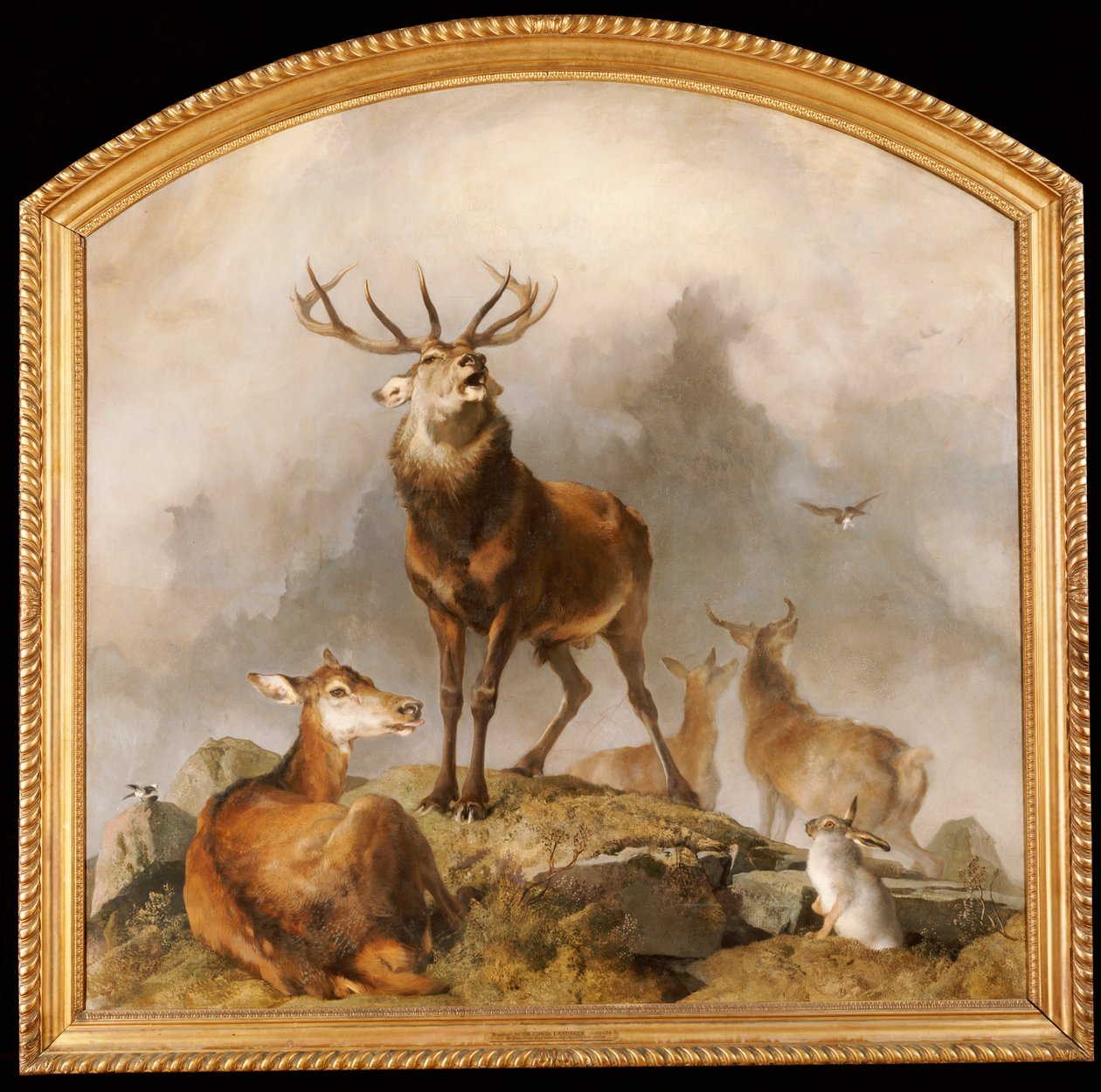 Scéna v Braemar - Highland Deer od Edwin Landseer