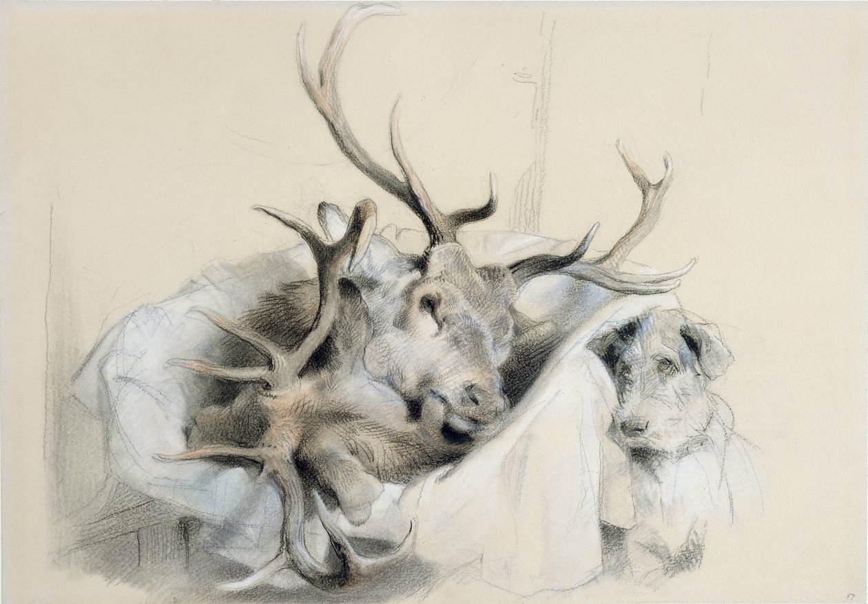 Jelení hlavy a pes, 1857 od Edwin Landseer