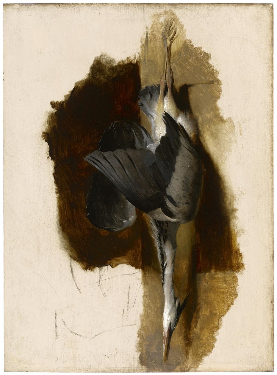 Studie mrtvé volavky od Edwin Landseer