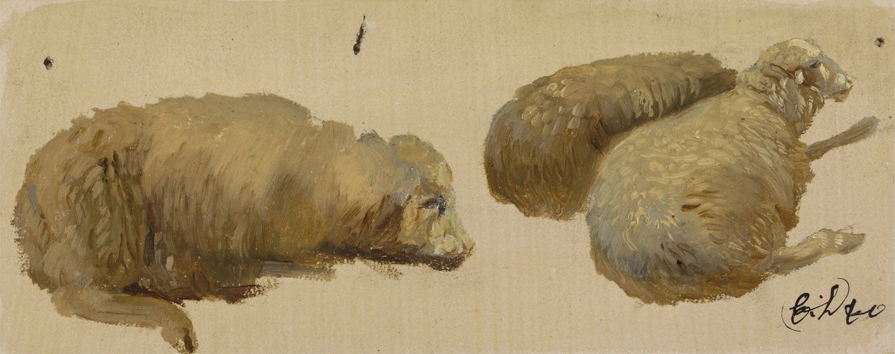 Tři ovce v klidu (olej na papíře) od Edwin Landseer