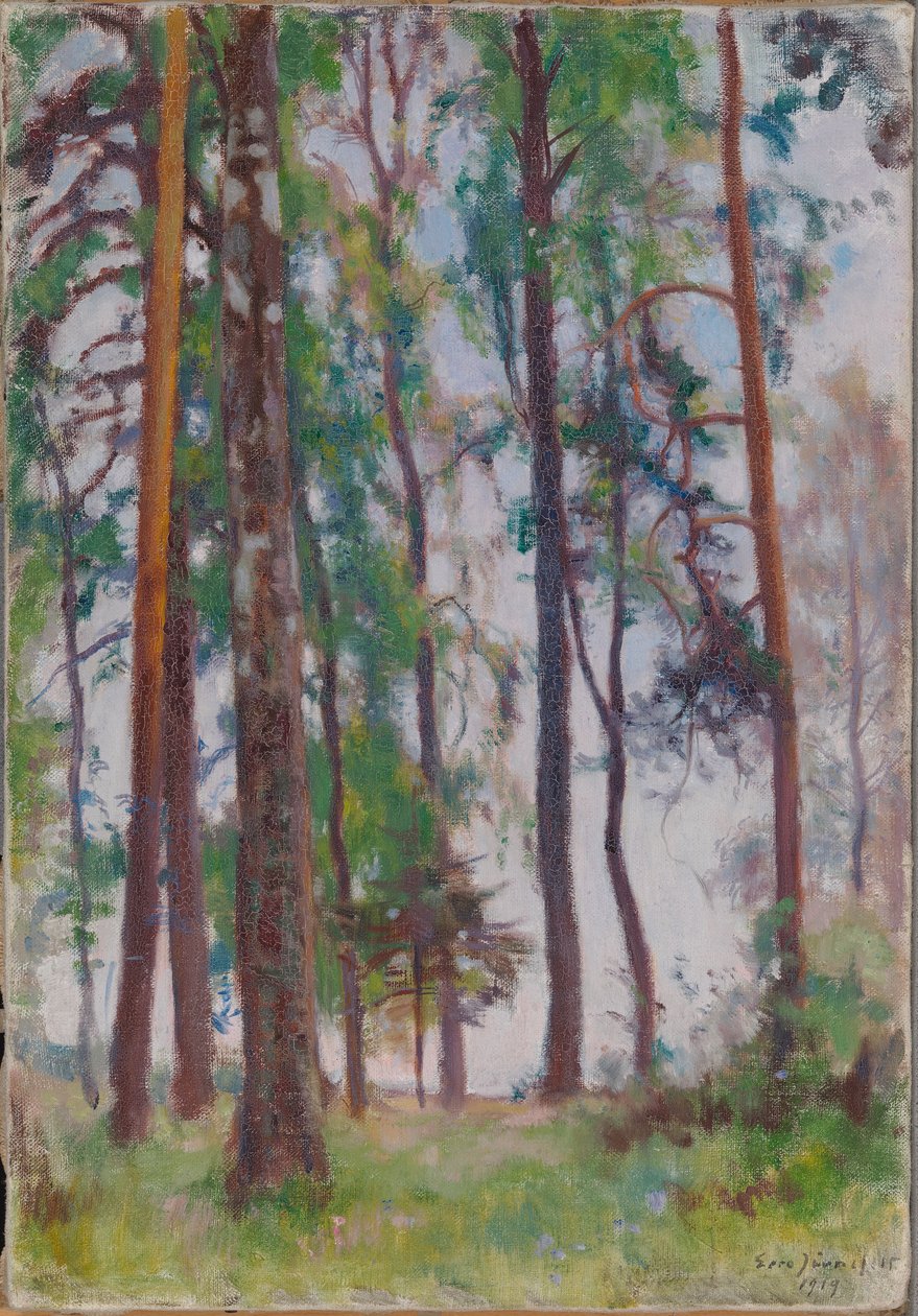 Pines od Eero Järnefelt