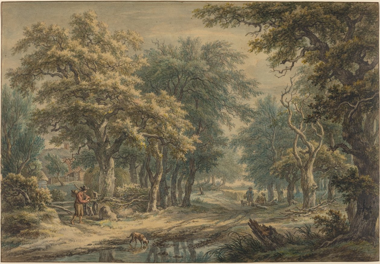 V Donderenu, v lesích Drenthe od Egbert van Drielst