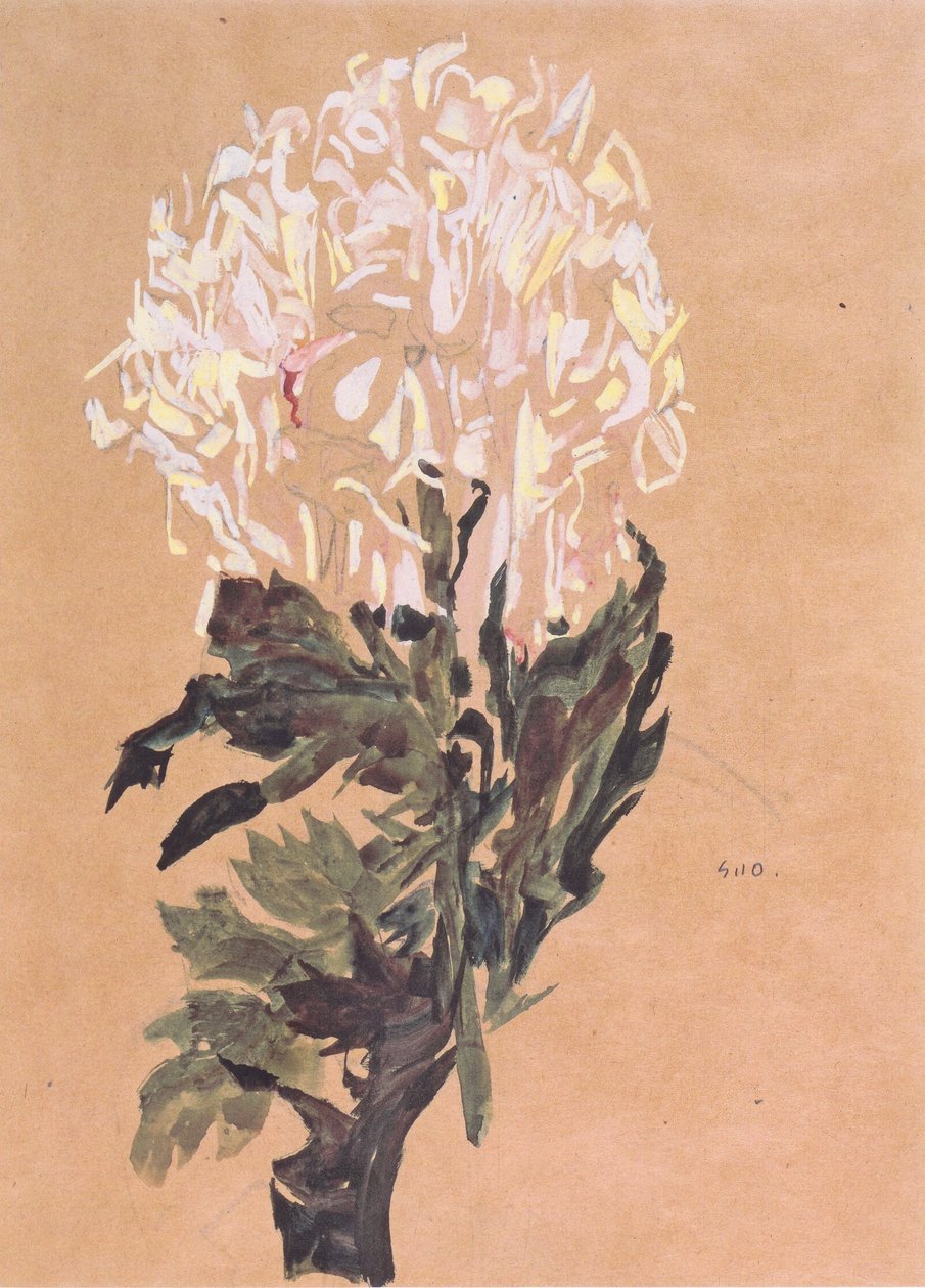 Bílá chryzantéma od Egon Schiele