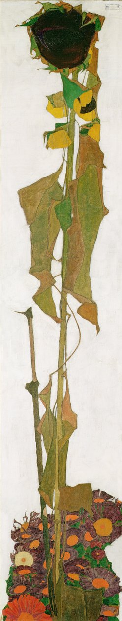 Slunečnice od Egon Schiele