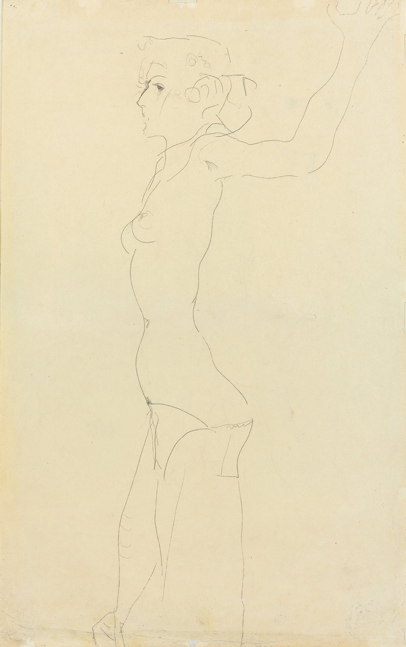 Ženský akt; Madchenakt, 1911 od Egon Schiele
