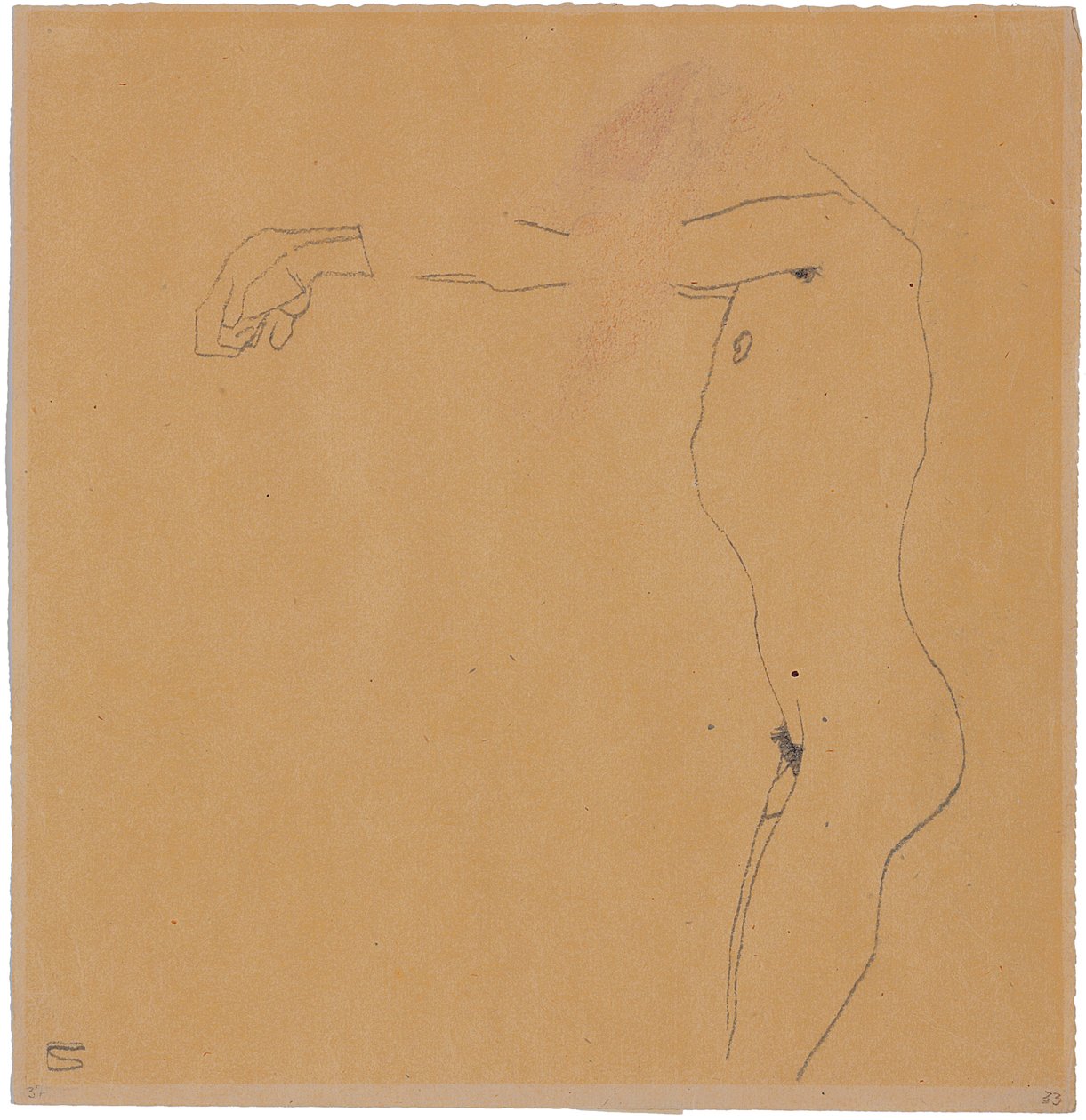 Mužský akt s rukama zdviženýma doleva, 1909 od Egon Schiele