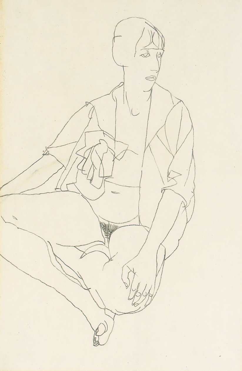 Sedící ženský akt s otevřenou halenkou, 1913 od Egon Schiele