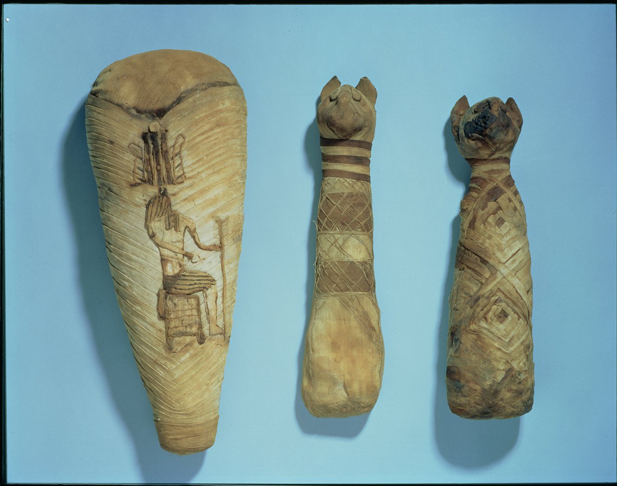Mumifikované kočky a ibisové od Egyptian