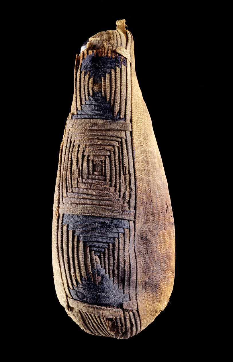 Mumie ibise z Abydosu v Egyptě od Egyptian