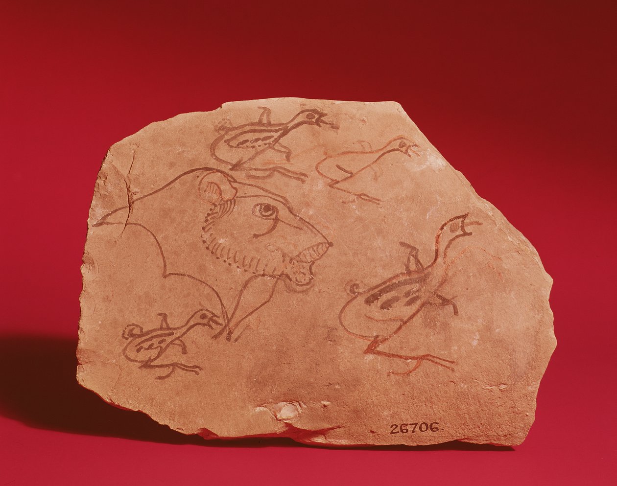 Ostrakon s hlavou lva a čtyřmi křepelkami, pravděpodobně z Théb, 19.-20. dynastie (malovaný vápenec) od Egyptian