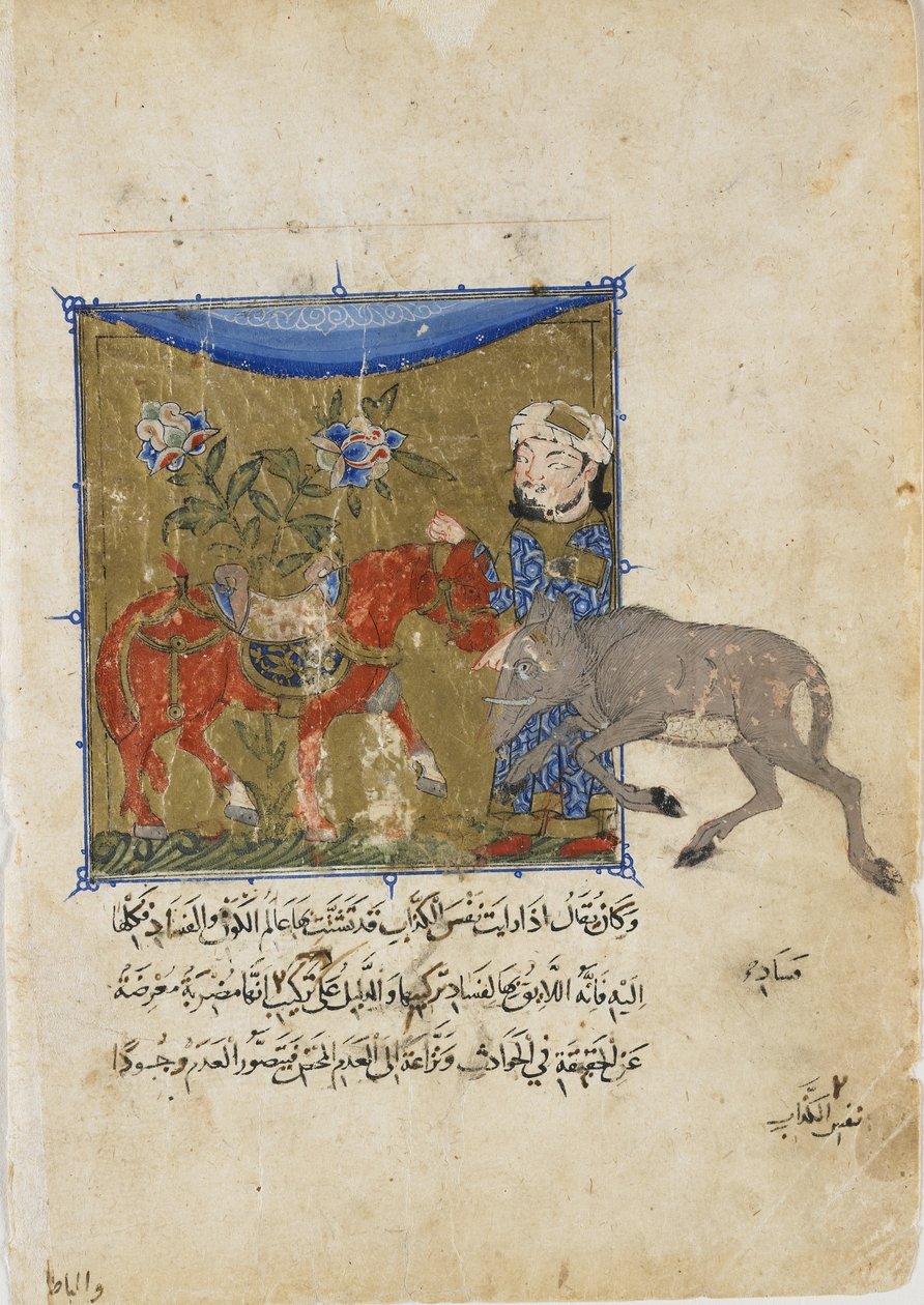 Kanec a kůň, folio ze Sulwan al-Muta od Ibn Zafara, dynastie Mamlúků, kolem roku 1335 (neprůhledný akvarel, inkoust a zlato na papíře) od Egyptian
