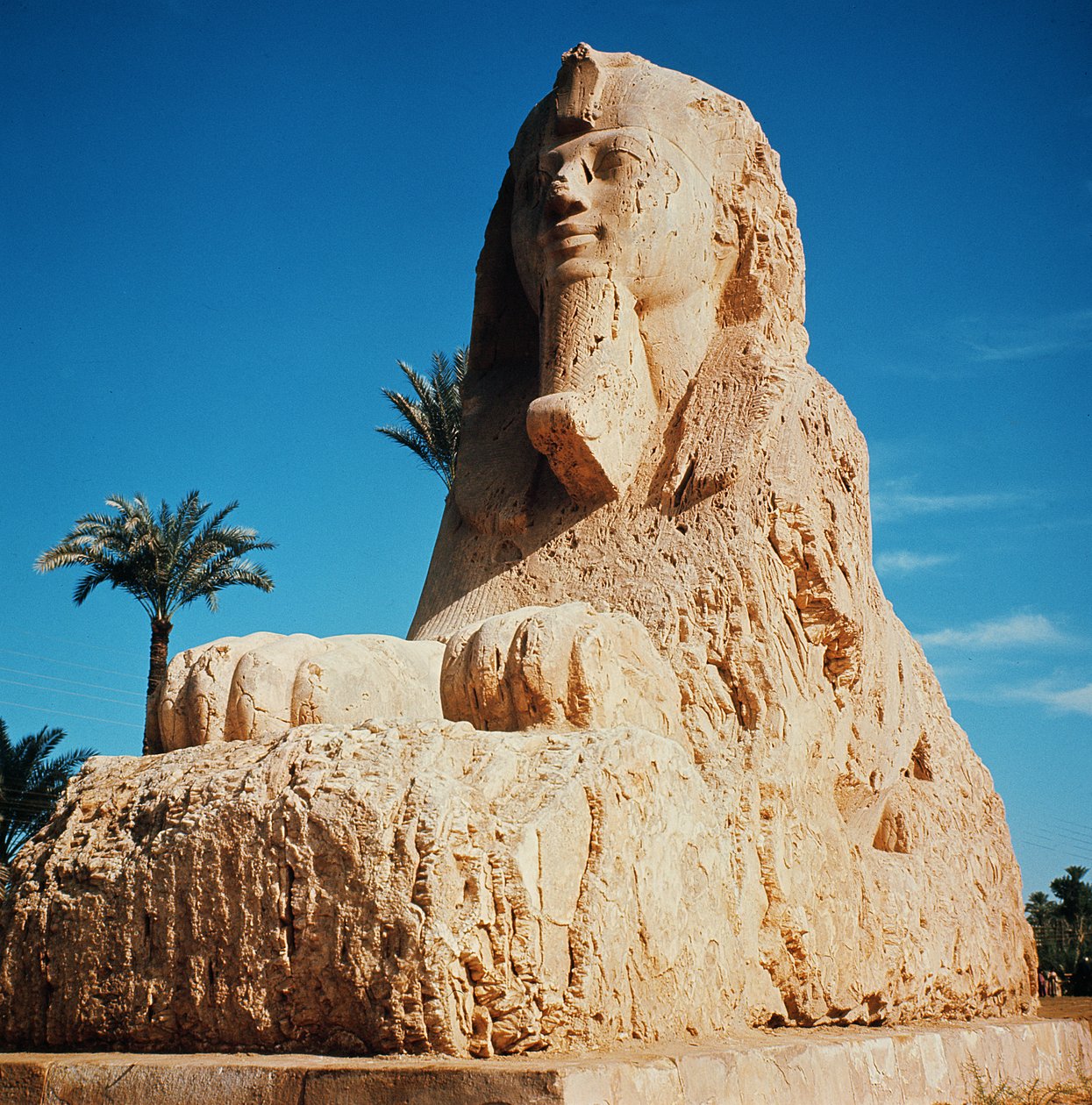 Alabastrová sfinga, Nová říše, pravděpodobně z doby vlády Amenhotepa II, kolem 1450-1425 př.nl (viz také 59240) od Egyptian 18th Dynasty