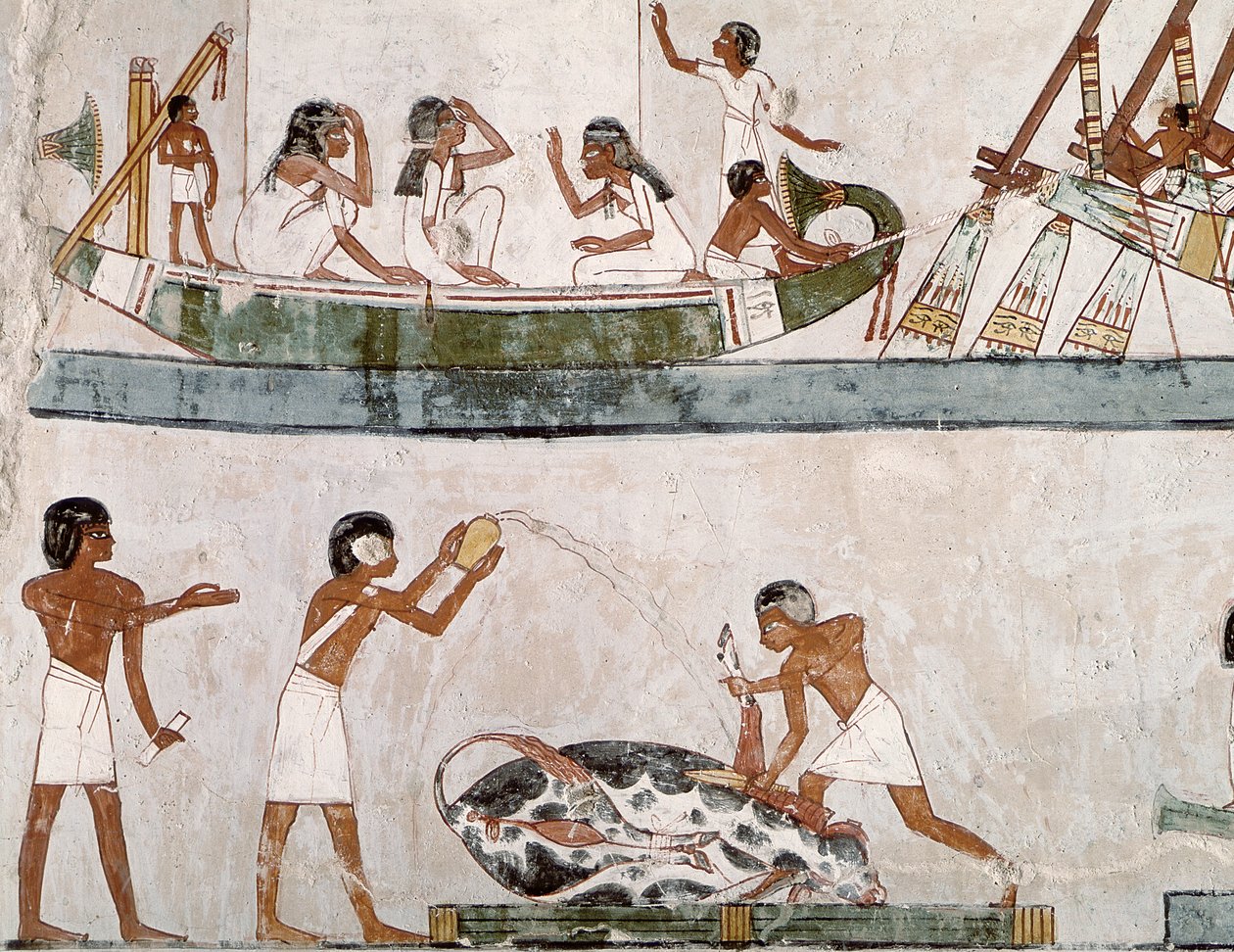 Obětování a očištění býka a rituál plavby z hrobky Menna, Nová říše (nástěnná malba) od Egyptian 18th Dynasty
