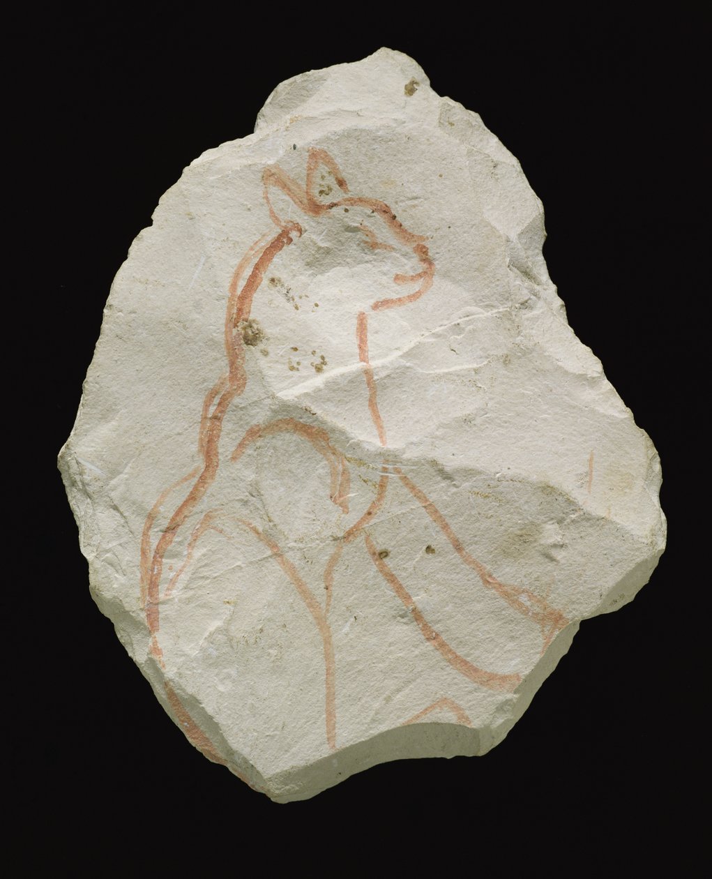 Ostracon zobrazující sedící kočku, Nová říše (vápencová vločka) od Egyptian 19th Dynasty