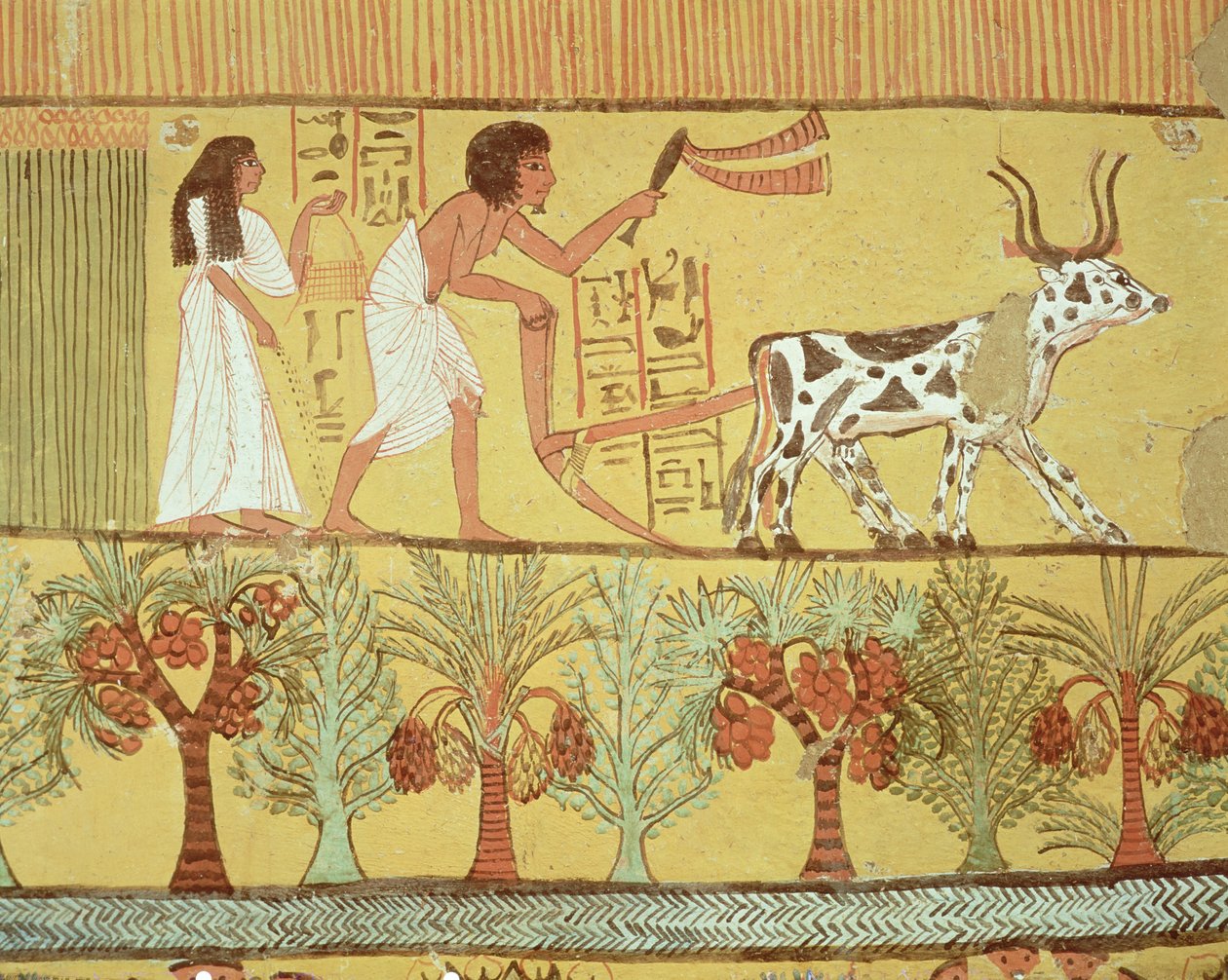 Sennedjem a jeho žena na polích sejí a obdělávají, z hrobky Sennedjem, The Workers Village, New Kingdom (nástěnná malba) od Egyptian 19th Dynasty