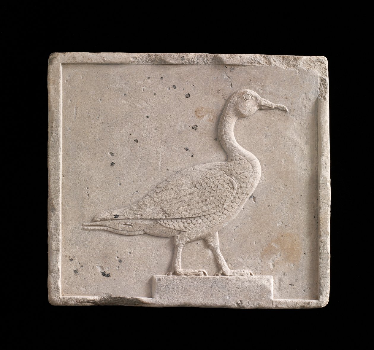 Deska zobrazující husu, 26. dynastie nebo období Saite, 664-525 př.nl nebo později vápenec od Egyptian 26th Dynasty