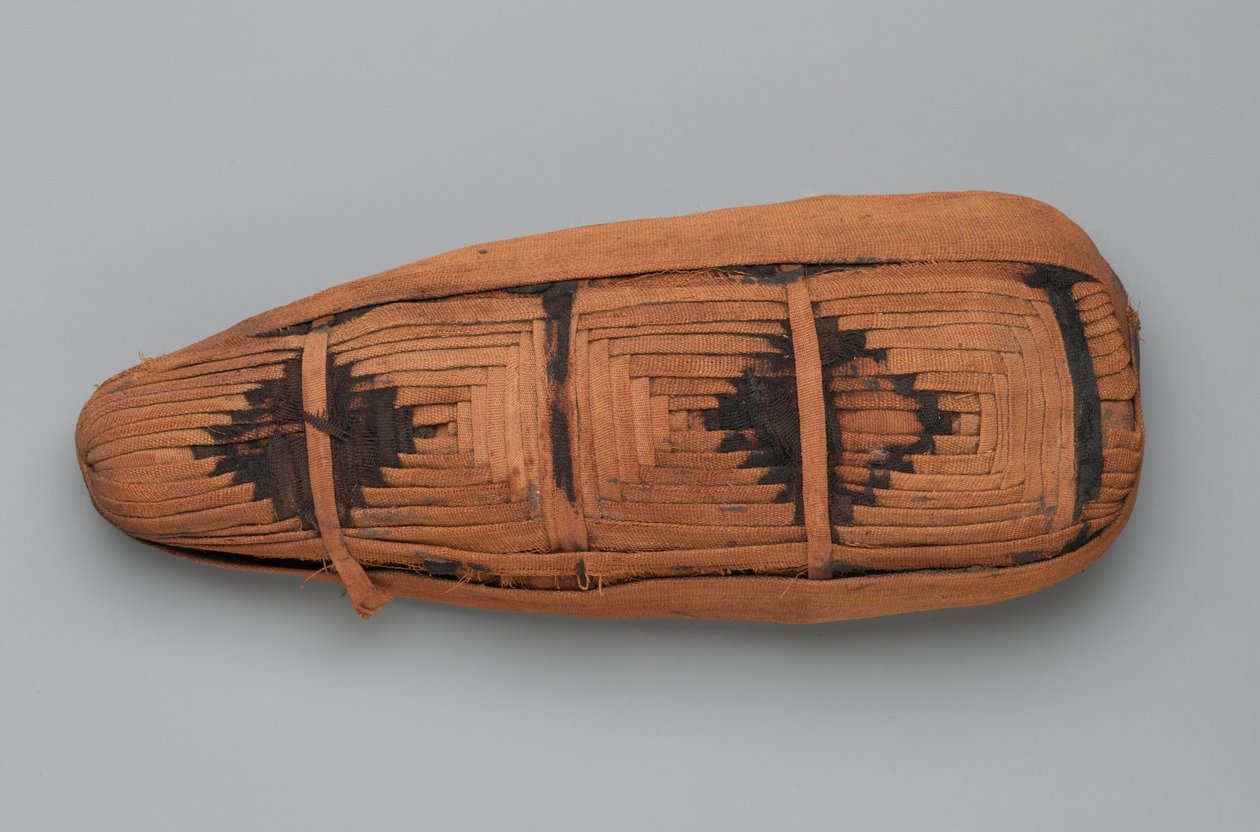Mumie ibise (ostatky zvířat a prádlo) od Egyptian