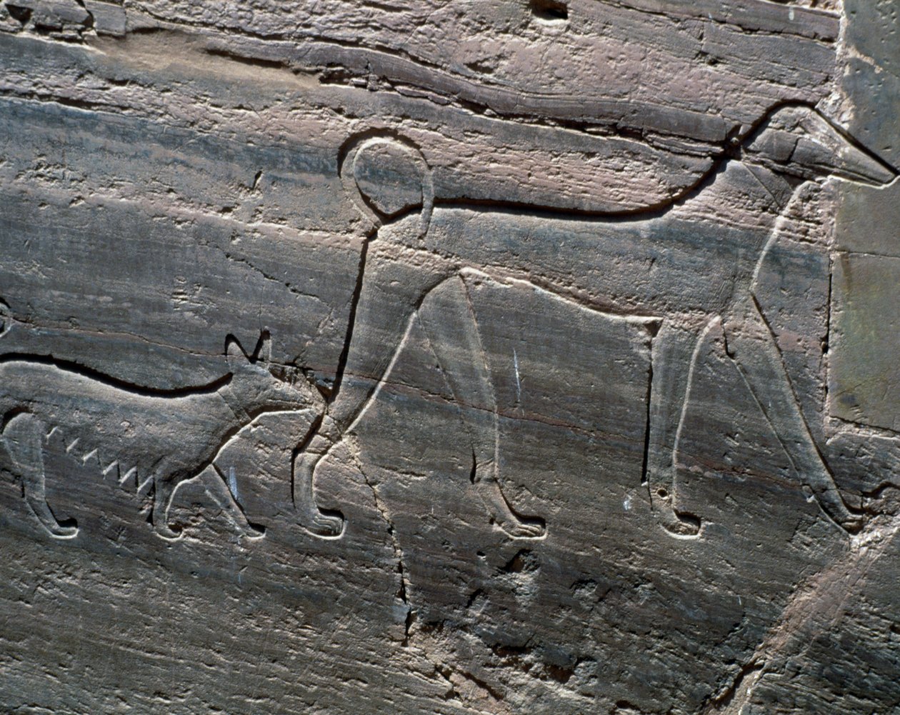 Pár psů, úleva od vchodu, Hrobka Sarenputa II, Hrobky princů, Qubbet el-Hawa, západní břeh Nilu v Asuánu, egyptská civilizace, Říše středu, dynastie XII od Egyptian 12th Dynasty