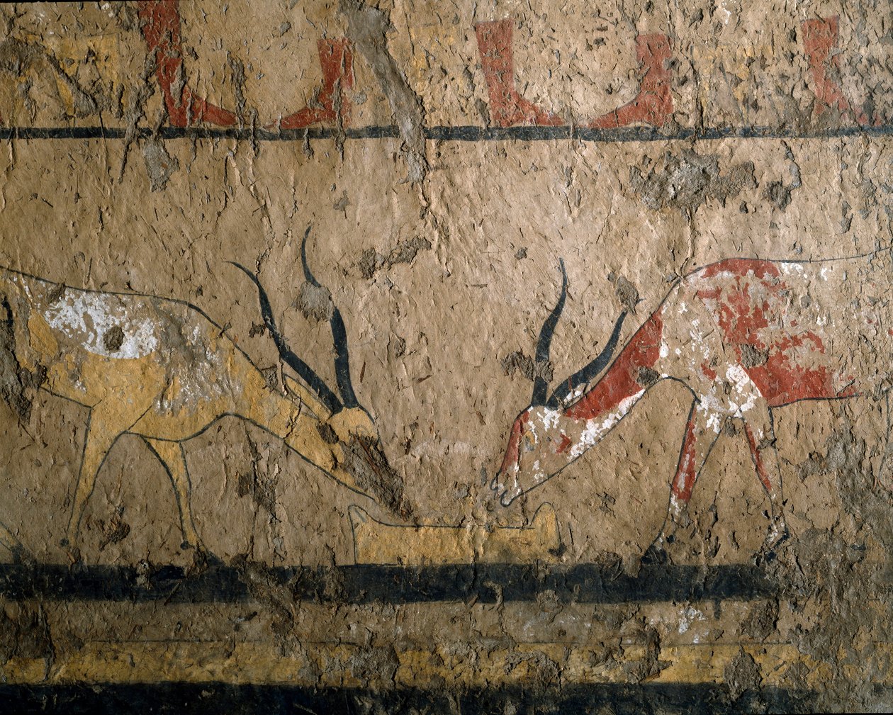 Egyptský starověk: šlechtění betailu. Freska hrobky královny Neferou III. 12. dynastie. 2200-2000 před naším letopočtem. Z El Ghebelen. Turín, egyptské muzeum od Egyptian 12th Dynasty